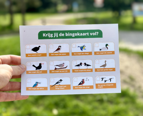 birdroute_kwintelooijen02