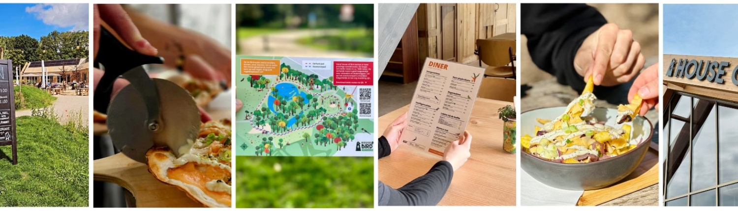 Activiteiten Kwintelooijen Body