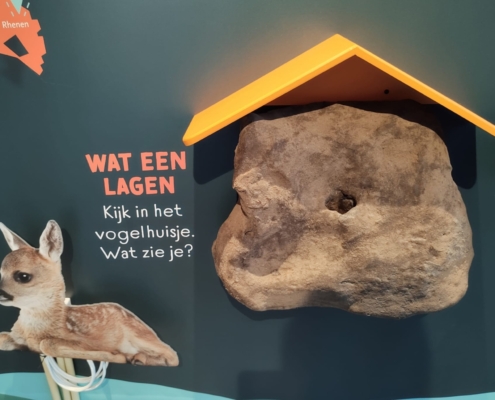 ontdekcentrum-nationaal-park-utrechtse-heuvelrug-kwintelooijen-3