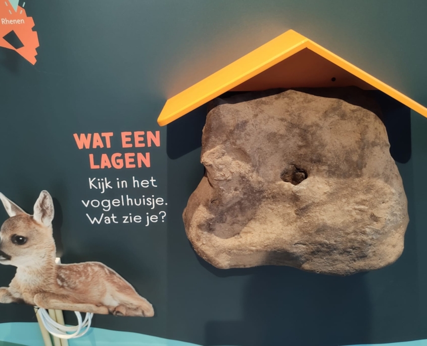 ontdekcentrum-nationaal-park-utrechtse-heuvelrug-kwintelooijen-3